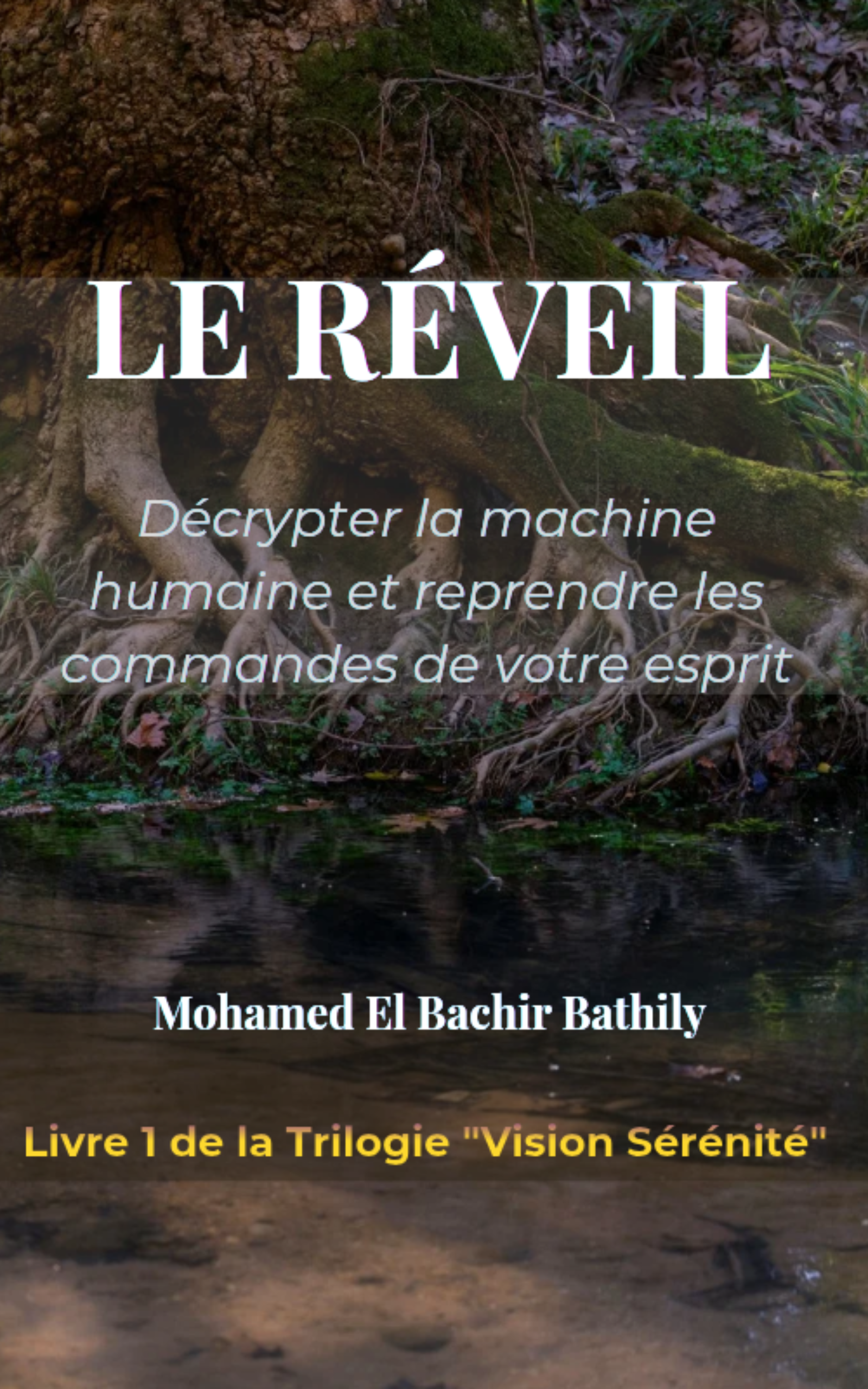 LE RÉVEIL (Tome 1 de la Trilogie Vision Sérénité)