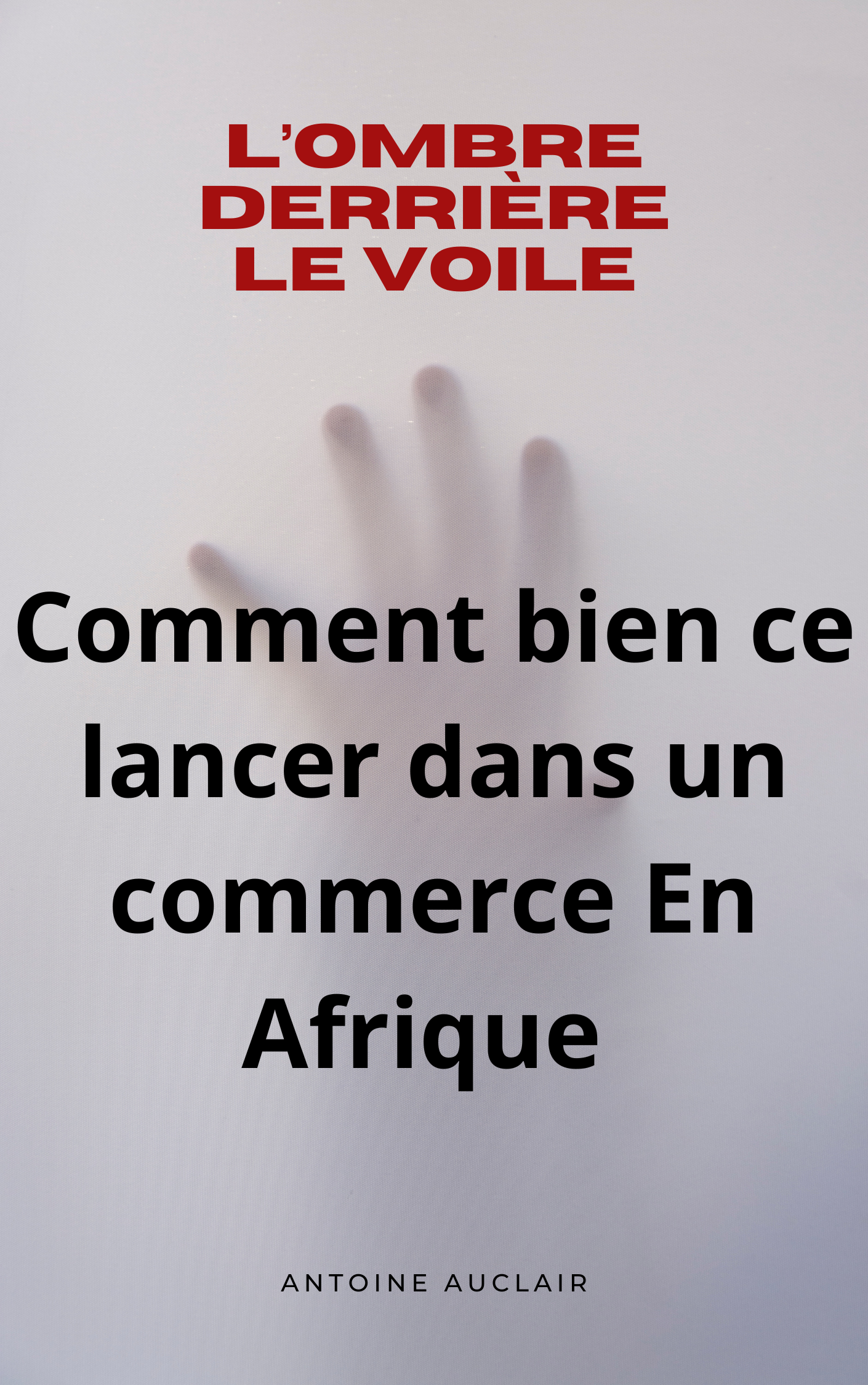 Comment bien ce lancer dans un commerce En Afrique