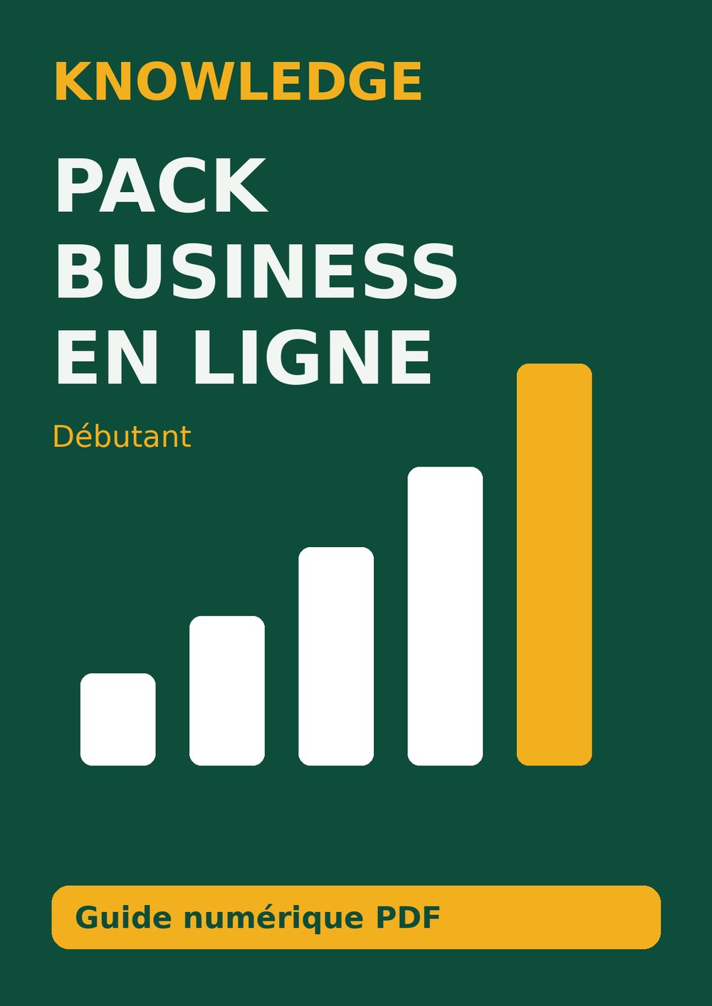 Pack Business en ligne – Débutant